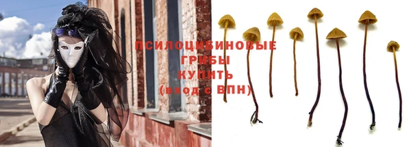 прущие крисы Белоозёрский